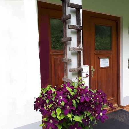 Ferienapartment 38 Sonnenwald Oberlangfurth المظهر الخارجي الصورة