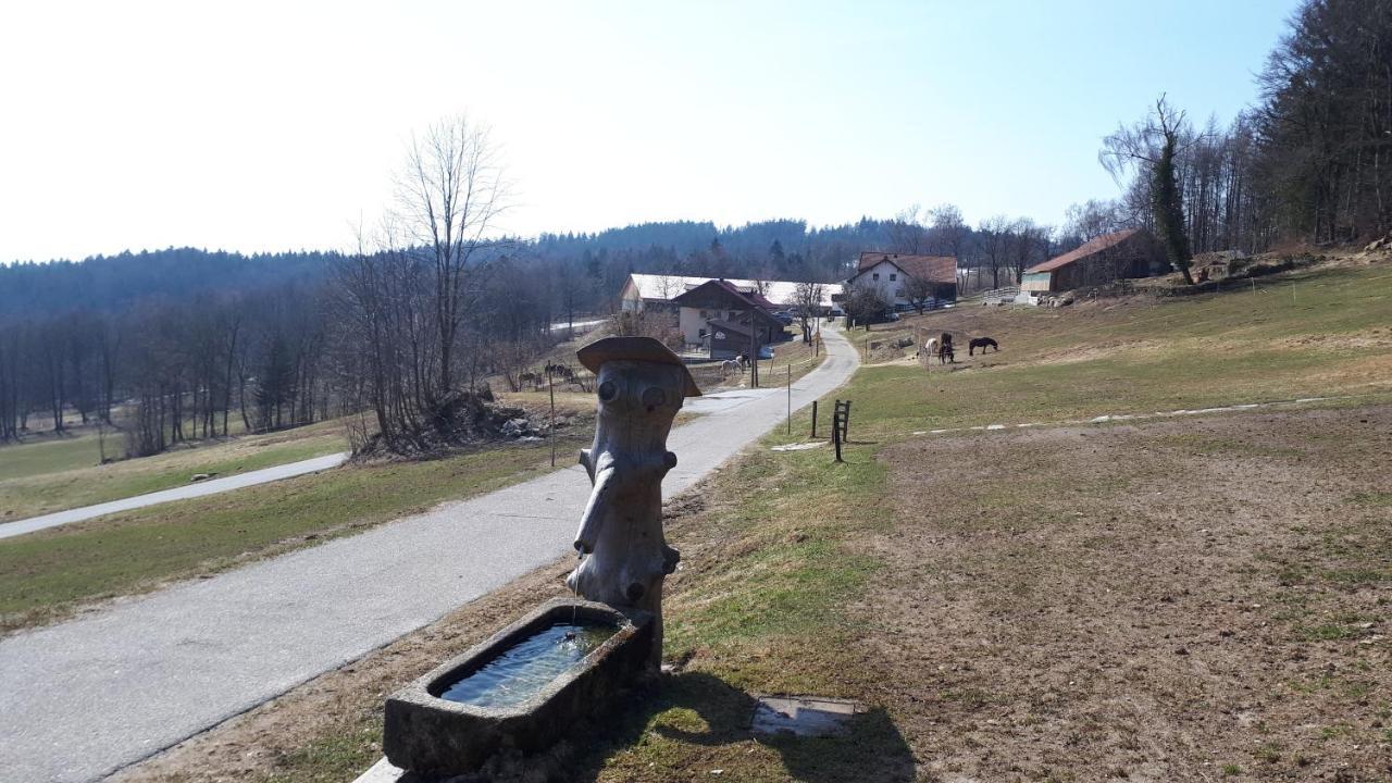 Ferienapartment 38 Sonnenwald Oberlangfurth المظهر الخارجي الصورة